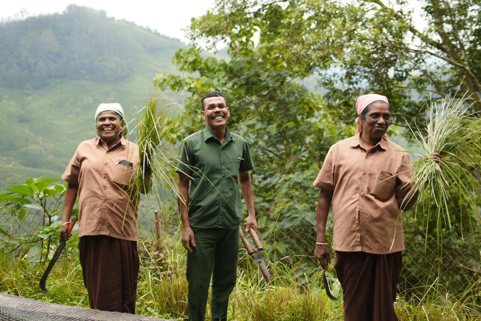 Blackberry Hills Munnar Nature Resort & Spa Luaran gambar