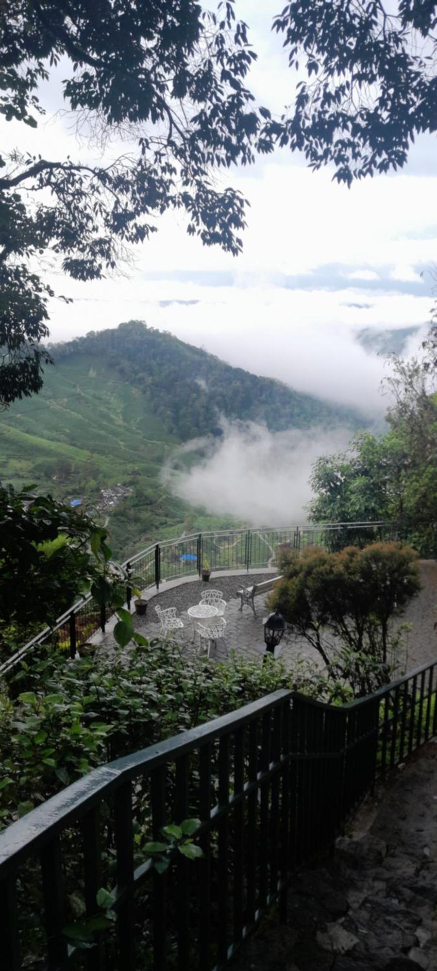 Blackberry Hills Munnar Nature Resort & Spa Luaran gambar